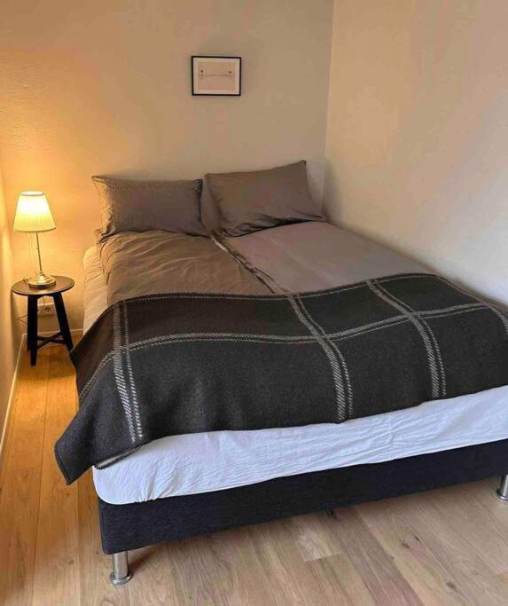 Studio Apartment Reykjavik City Center Buitenkant foto